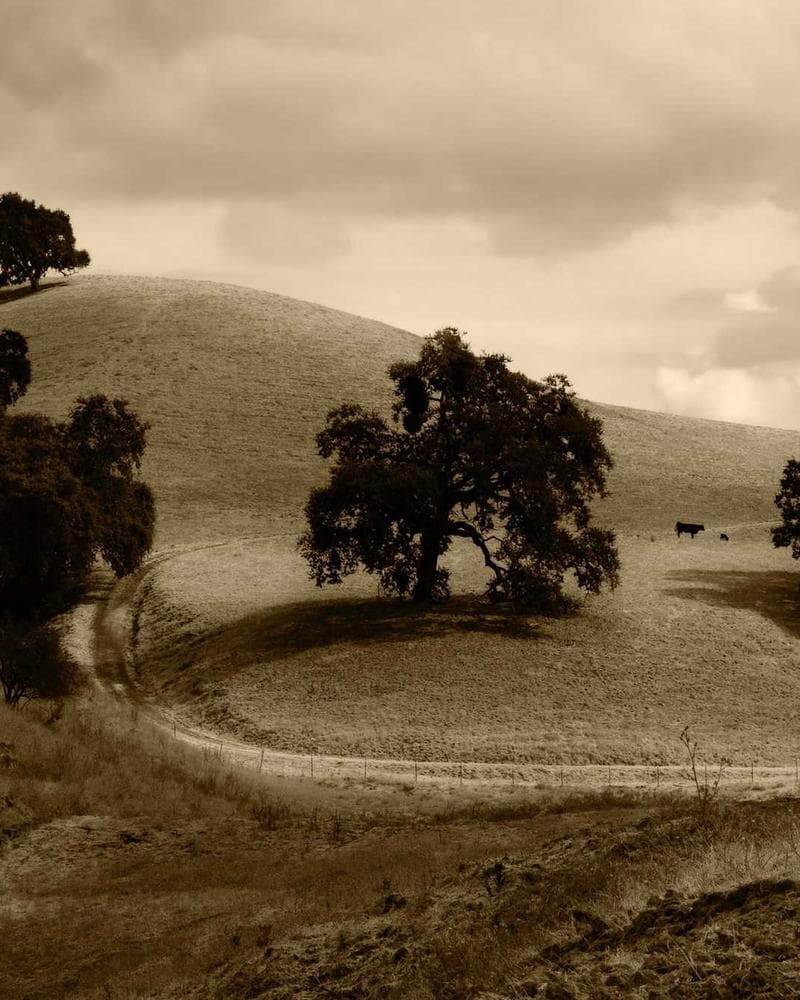 Cinematic production